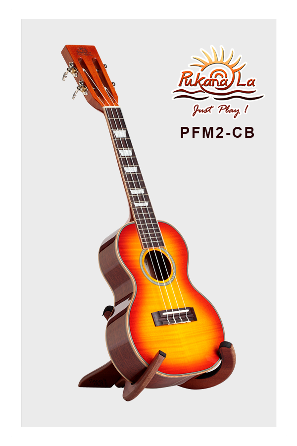 PFM2-CB-03
