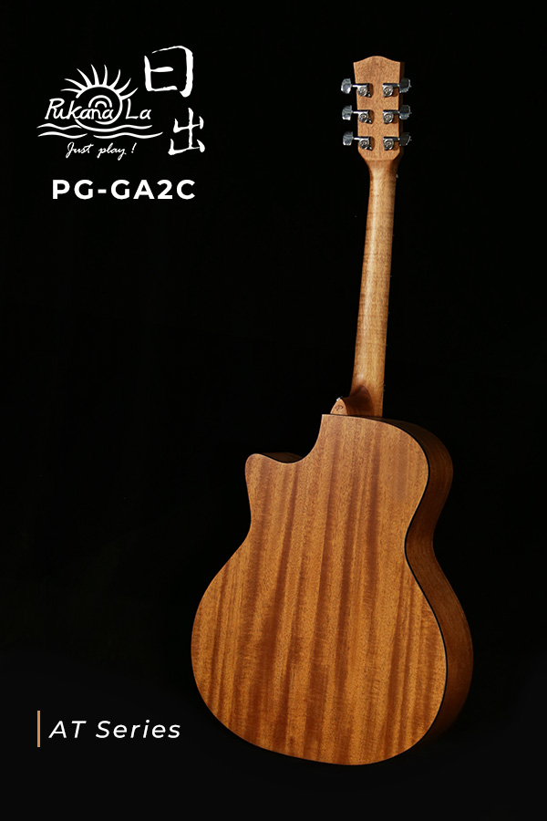 PG-GA2C-en-600x900-04
