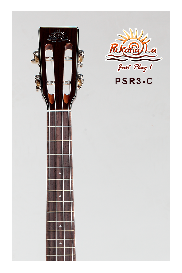 PSR3-C-05