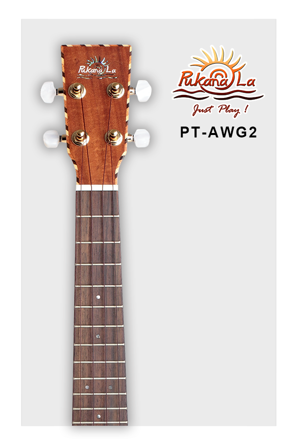 PT-AWG2-05